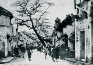 mamay1900-8c359