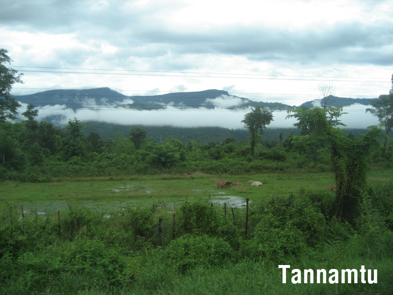 May trang phu tay trg son